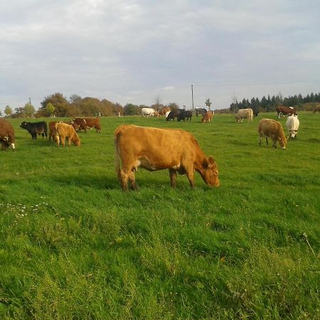 Ferienwohnung Scheid Lahr (Hunsruck) Exterior foto