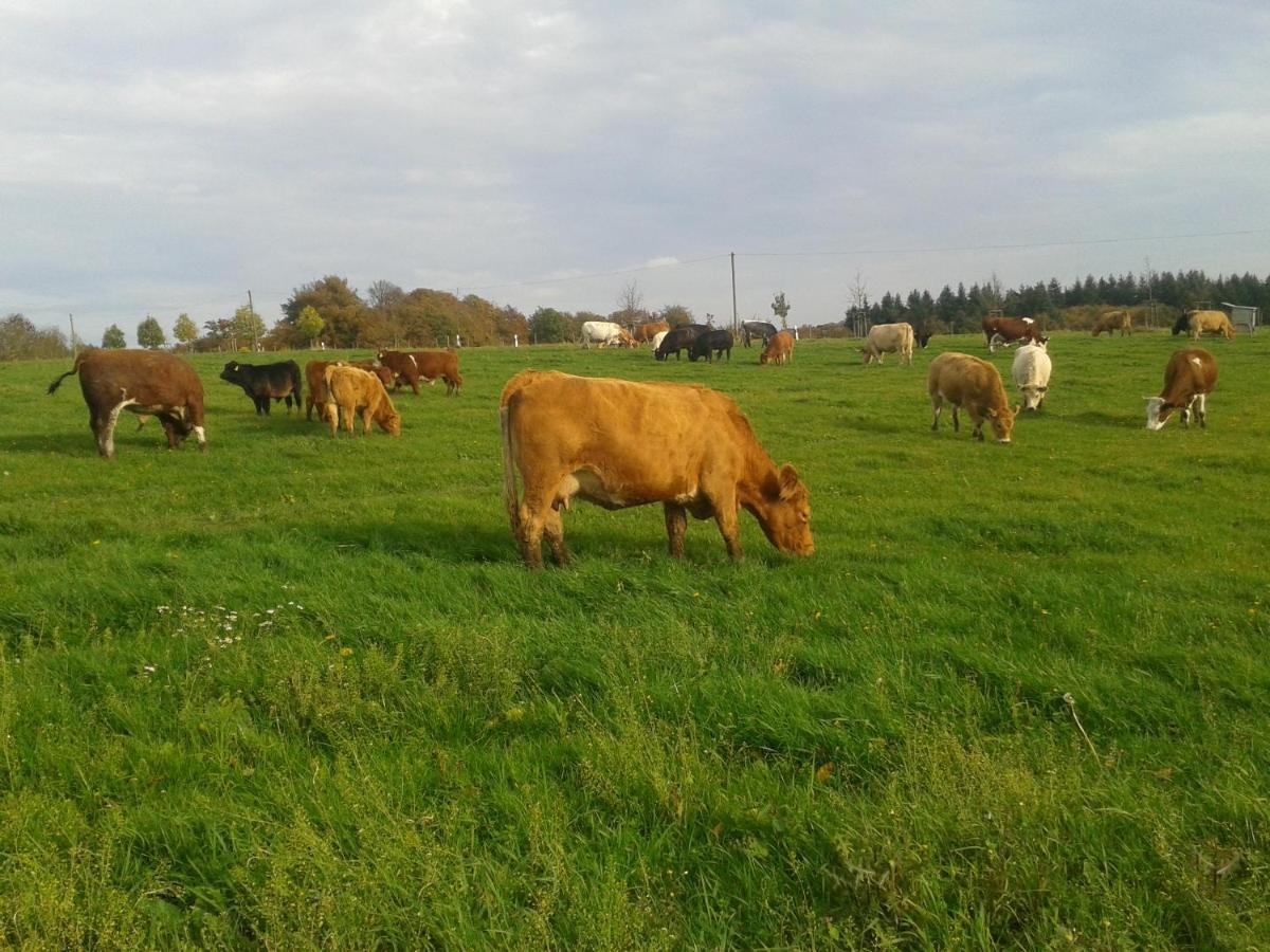Ferienwohnung Scheid Lahr (Hunsruck) Exterior foto